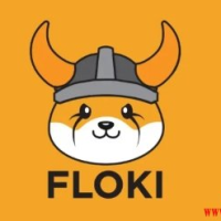 Floki DAO推进ETP在欧洲上市，社区投票将决定流动性配置
