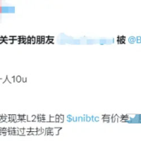 10 万美元资金遭冻结详解：从 unibtc 事件看免信任托管的必要性